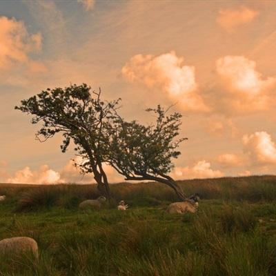 注册就送38的平台app下载