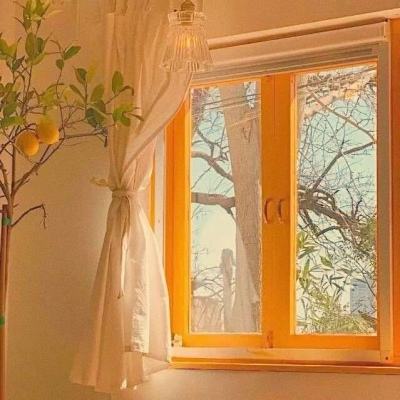 ob体育最新官网下载手机版